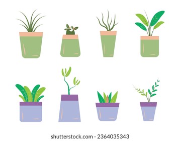 Home garden plant in pot, houseplant decor vector illustration set on white background. Cartoon flat potted house plant collection