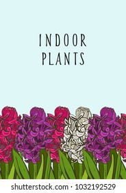 home garden template card spring mood border flowers hyacinth