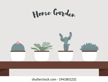 Home garden Vector illustration with copy space Different cactus, plants and succulents in white pots on wooden table