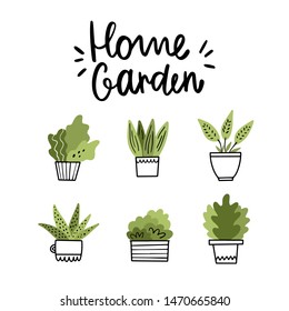 Home garden. Vector illustration with cute potted flowers and lettering. Doodle style
