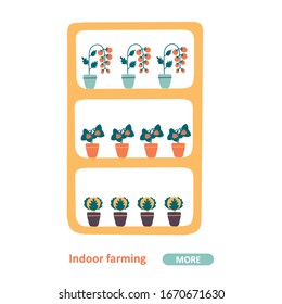 Home garden vector plant illustration. Shelf flat pot flat cartoon vector illustration.