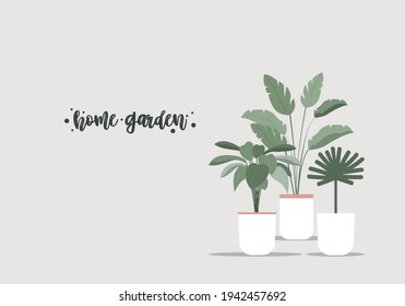 Planta vectorial para carteles y pancartas con espacio de copia Tres plantas tropicales diferentes y flores en ollas blancas sobre fondo beige Diseño plano