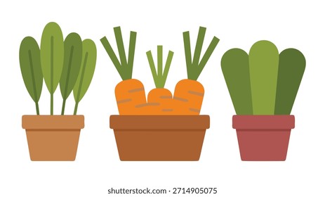 Home Garden Vegetable Pots – Flat Organic Plant Illustration