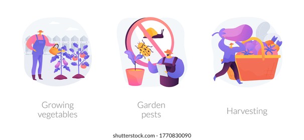 Home gardening abstract concept vector illustration set. Growing vegetables, garden pests, harvesting, planting in ground, organic food, container garden, plant insects, pesticides abstract metaphor.