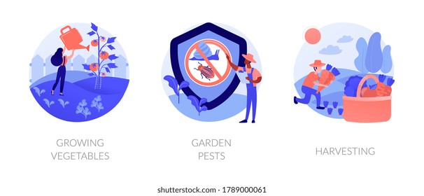 Home gardening abstract concept vector illustration set. Growing vegetables, garden pests, harvesting, planting in ground, organic food, container garden, plant insects, pesticides abstract metaphor.