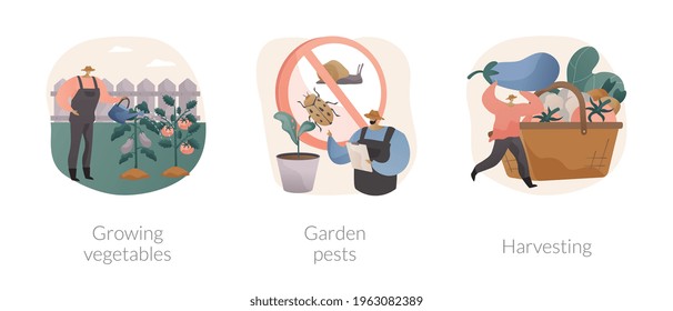 Home gardening abstract concept vector illustrations.