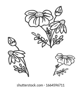 Elementos de doodle para jardinería casera. Montón de flores de margarita en flor