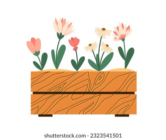 Home gardening illustration. Vector colorful flowers in wooden box flowerbed flat style template. Isolated