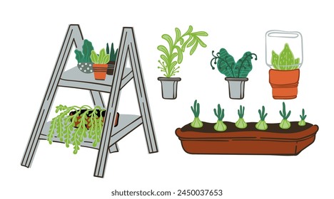 Home gardening plant collection with pots and stands, vector illustration, isolated on white background.