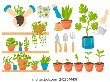 Home gardening vector set of illustrations. Pots with greenery plants seedling