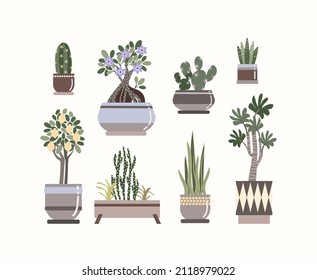 home gardening vector set of isolated plants with pots