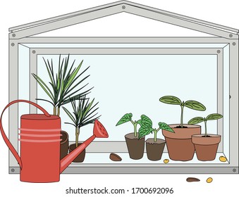 Home gardening: window greenhouse with plants and a red watering can for watering. Vector drawing.