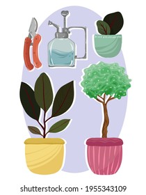 Home gardening.Vector illustration. Different ficuses, handmade, postcard, stickers, print on t-shirt