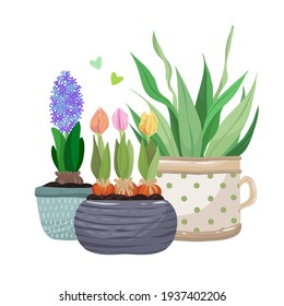 Home gardening.Vector illustration. Different houseplants. Handmade, postcard, print on t-shirt, stickers