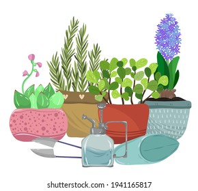 Home gardening.Vector illustration. Different houseplants and succulent, plant sprayer, small scissors, shovel. Handmade, print on t-shirt, stickers, postcard