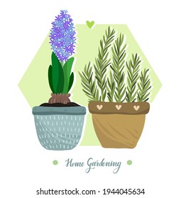 Home gardening.Vector illustration. Different houseplants. Handmade, postcard, print on t-shirt, stickers
