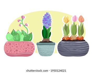 Home gardening.Vector illustration. Different houseplants. Handmade, print on t-shirt, stickers, postcard