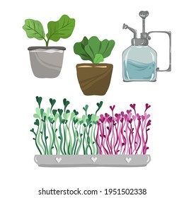 Home gardening.Vector illustration. Planting seedlings. Handmade, print on t-shirt, stickers, postcard
