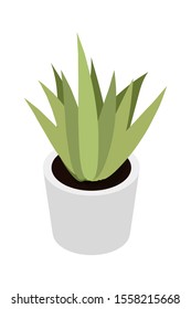 Home green plant flat vector illustration. Indoor flower in white pot. Window flowerpot decoration cartoon drawing. Apartment gardening. Room design element. Winter balcony garden