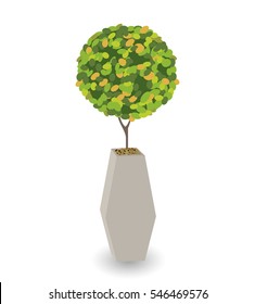 Home Green Plant in Nice Pot. Vector Illustration. EPS10