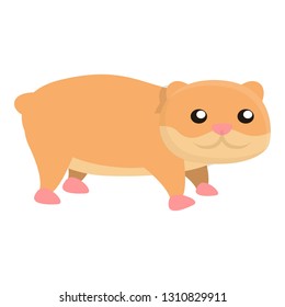 Home hamster icon. Cartoon of home hamster vector icon for web design isolated on white background