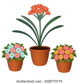 Home indoor flowers are dressed on the windowsill, bright, cheerful colors of summer and spring. Decoration for garden or balcony, into room. Vector illustration isolated on white background  