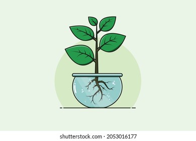 Home Indoor Plant Hydroponics Green Ecosystem and Clean Environment Vector Illustration