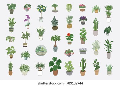 home indoor plants vector hand drawn illustrations set