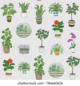 home indoor plants vector hand drawn seamless pattern