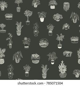 home indoor plants vector hand drawn seamless pattern