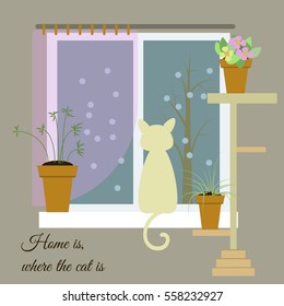 Home is, where the cat is vector drawn card. Funny illustration.