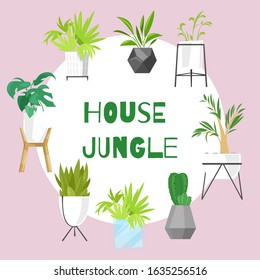 Home jungle plants in scandinavian style vector illustration. House jungle plants in pots for home and office garden and decoration. Minimalistic interior design poster, banner or advertisment.