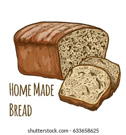 Home made bread, full color hand drawn vector illustration