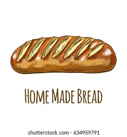 Home made bread, full color hand drawn vector illustration