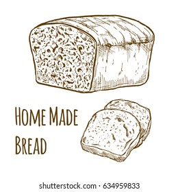 Home made bread, hand drawn vector illustration