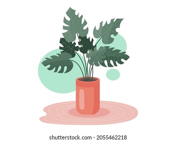 Home Monstera in a pot illustration. Vector Monstera isolated on white abstract background. Botanical cozy colored green cheese plant leaves illustration for natural design in modern style.