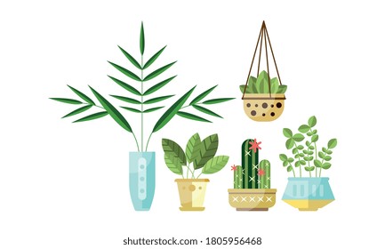 Home or Office Decorative Plants Set, Green Trendy Plants Growing in Pots Flat Style Vector Illustration