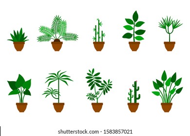 Home, office flowers vector icon illustration set. Green plants in brown clay pots flat style design collection - Shutterstock ID 1583857021