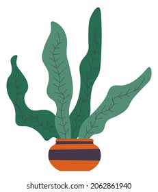 Diseño interior de casa o oficina, decoración botánica con olla y adornos, hojas y follaje. Contenedor de orugas con líneas abstractas. Complemento botánico para la comodidad del hogar. Vector de estilo plano