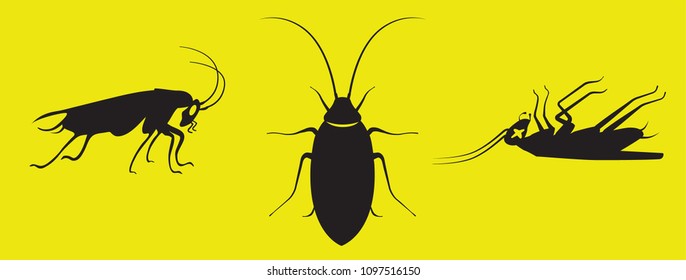 home and office pests cockroaches black art on yellow background dead and aliave side top views