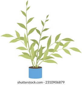 Home or office plant in pot. Vector illustration. Foliage plant in pot for interior. Home plant in flowerpot. Houseplants isolated on white. Trendy green home decor. Houseplant in ceramic container