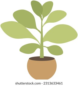 Home or office plant in pot. Vector illustration. Foliage plant in pot for interior. Home plant in flowerpot. Houseplants isolated on white. Trendy green home decor. Houseplant in ceramic container