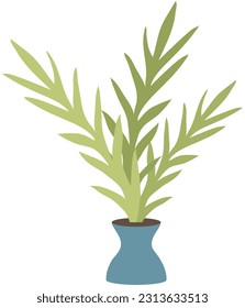 Home or office plant in pot. Vector illustration. Foliage plant in pot for interior. Home plant in flowerpot. Houseplants isolated on white. Trendy green home decor. Houseplant in ceramic container