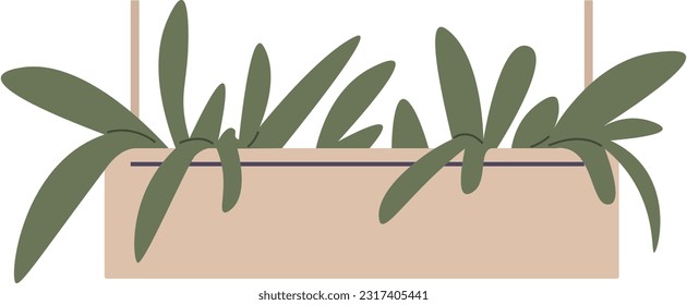 Home or office plant in pot. Vector illustration. Foliage plant in pot for interior. Home plant in flowerpot. Houseplants isolated on white. Trendy green home decor. Houseplant in ceramic container