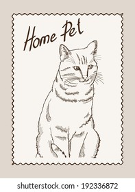 home pet cat. vector sketch on grey background