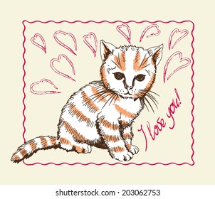 home pet cat. vector sketch on grey background