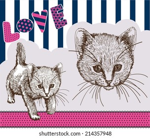 home pet cat. vector sketch on grey background