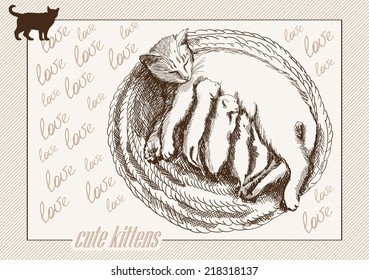 home pet cat. vector sketch on grey background