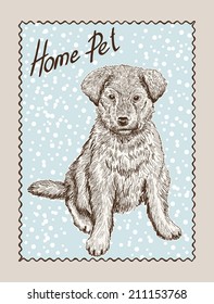 home pet dog. vector sketch on grey background