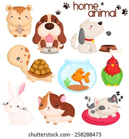 Home Pet Vector Set